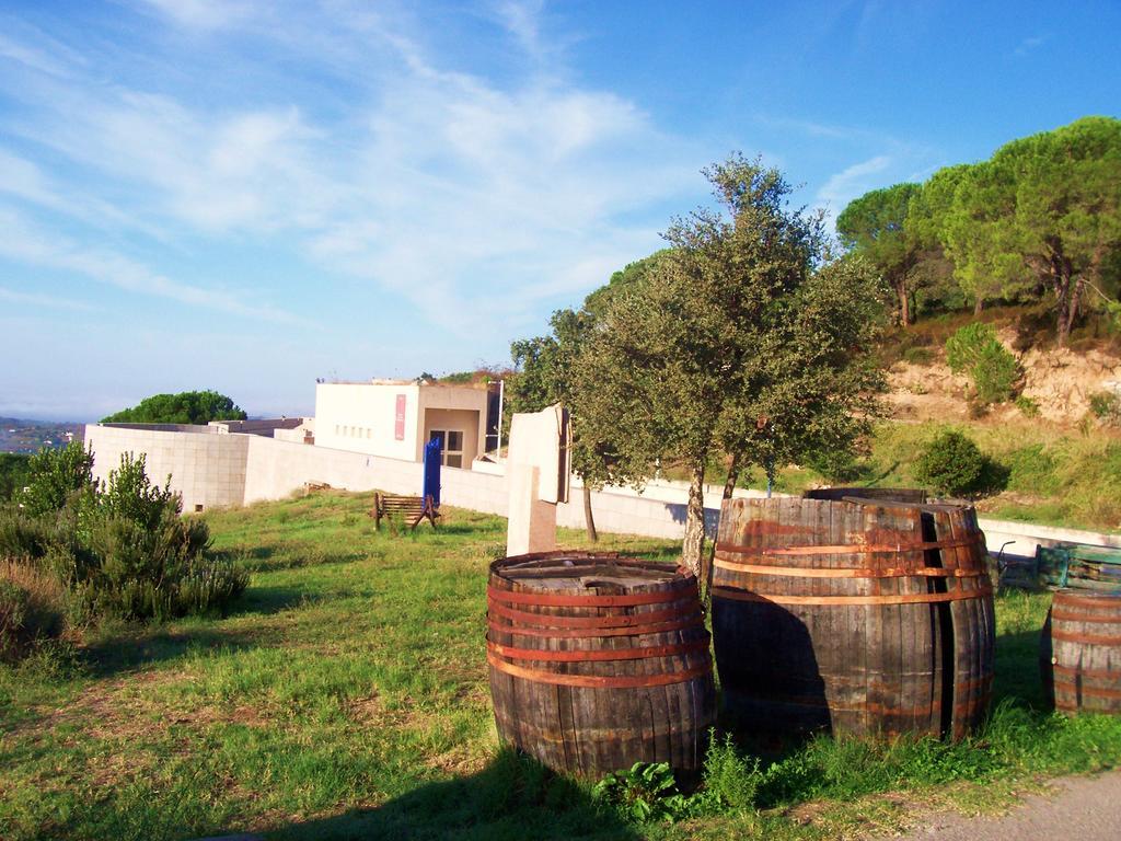 Agriturismo B&B Domo De Resteblas ベルキッダ エクステリア 写真