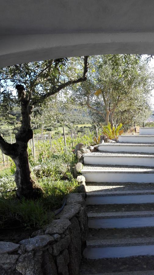 Agriturismo B&B Domo De Resteblas ベルキッダ エクステリア 写真