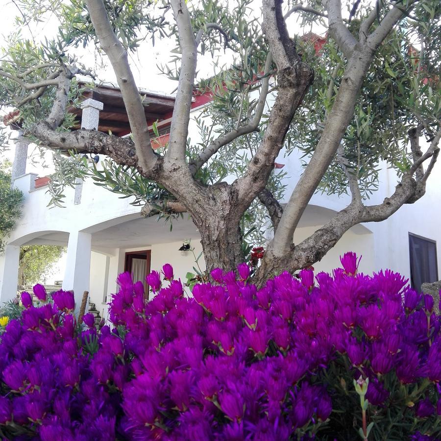 Agriturismo B&B Domo De Resteblas ベルキッダ エクステリア 写真